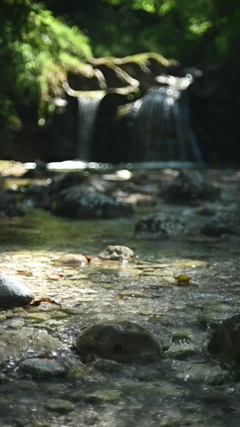 Vertical shot of mountain stream in front of a waterfall in summer, slow motion Stock-Footage 288324850