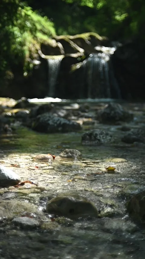 Vertical shot of mountain stream in front of a waterfall in summer, slow motion Stock-Footage 288324857