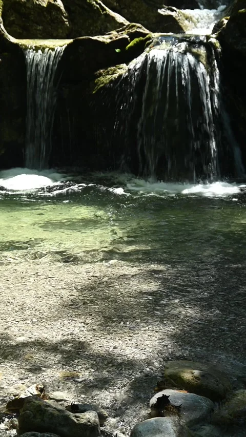 Vertical shot of a mountain stream in front of a small waterfall in summer Stock-Footage 288500860