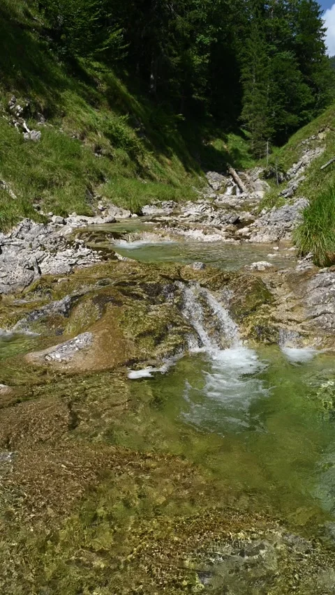 Vertical shot of a mountain stream in late summer, with ponds in sunlight Stock-Footage 260880820
