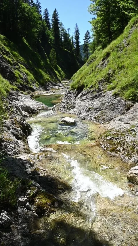 Vertical shot of a mountain stream with ponds in summer afternoon, slow motion Video stock 260878637
