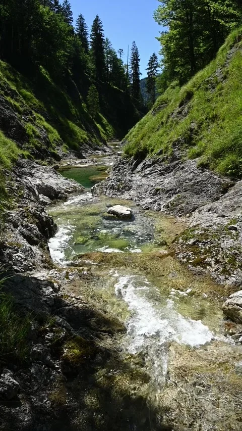 Vertical shot of a mountain stream with ponds in summer, slow motion Video stock 260878691