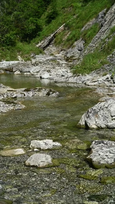 Vertical shot of a mountain stream in slow motion Stock-Footage 260884071