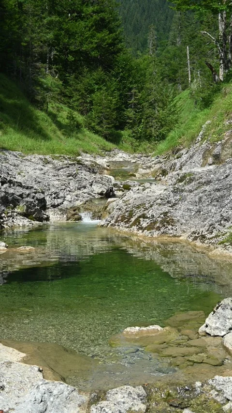 Vertical shot of a mountain stream with a small waterfall in summer Stock-Footage 260875814
