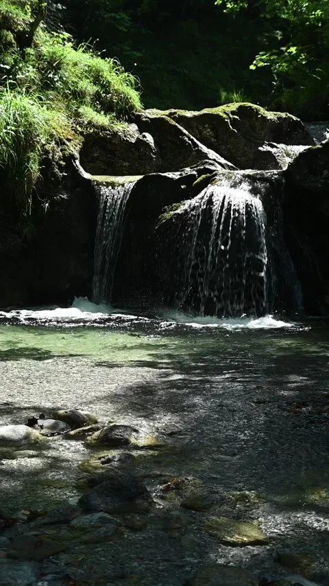 Vertical shot of a mountain stream with a small waterfall in summer, slow motion Stock-Footage 288324557