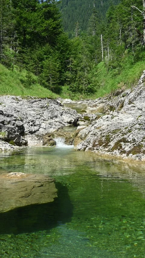 Vertical shot of a mountain stream in summer, with a pond in the foreground Video stock 260875715