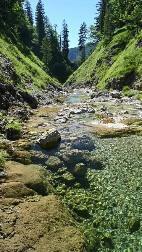 Vertical shot of a mountain stream in summer with sunlight effects Stock Footage 260877764