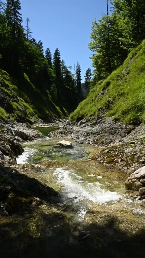 Vertical shot of a mountain stream in summer in the afternoon, slow motion Stock-Footage 260878623