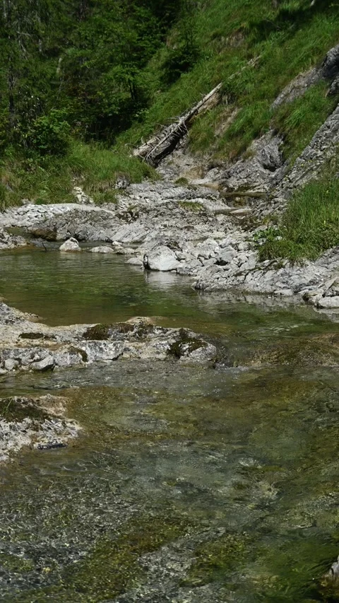 Vertical shot of a mountain stream in summer: Glasbach 스톡 동영상 260882651
