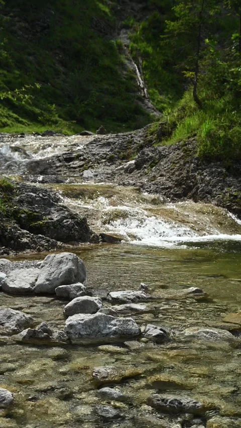 Vertical shot of a mountain stream in summer Stock-Footage 260888895