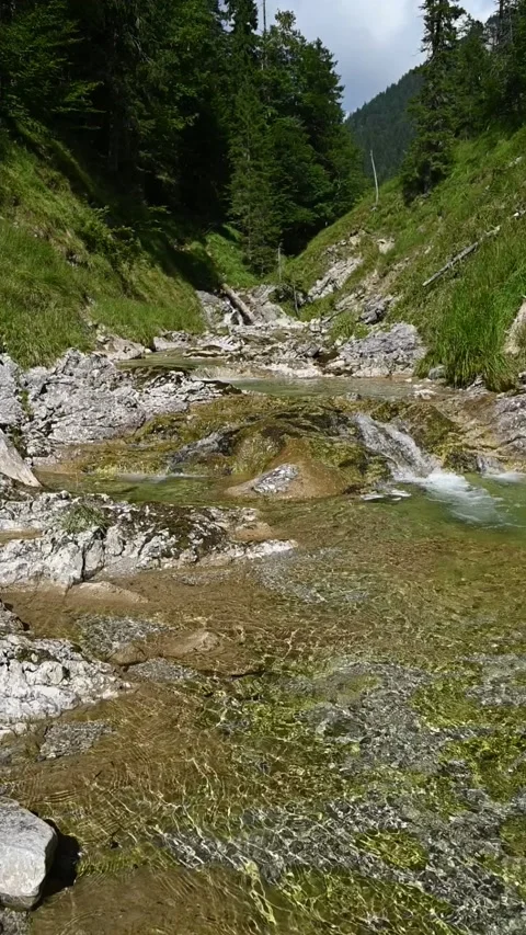Vertical shot of a mountain stream with sunlight effects, slow motion Video stock 260881347