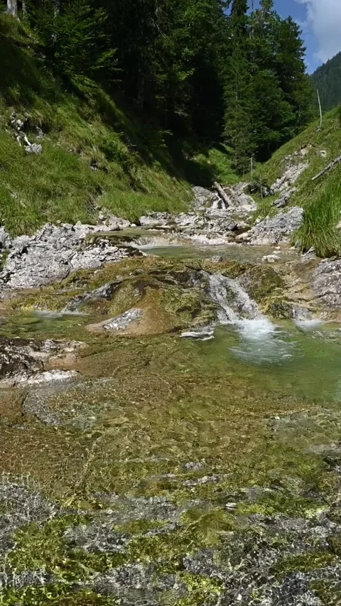 Vertical shot of a mountain stream with sunlight effects, slow motion Video stock 260881350