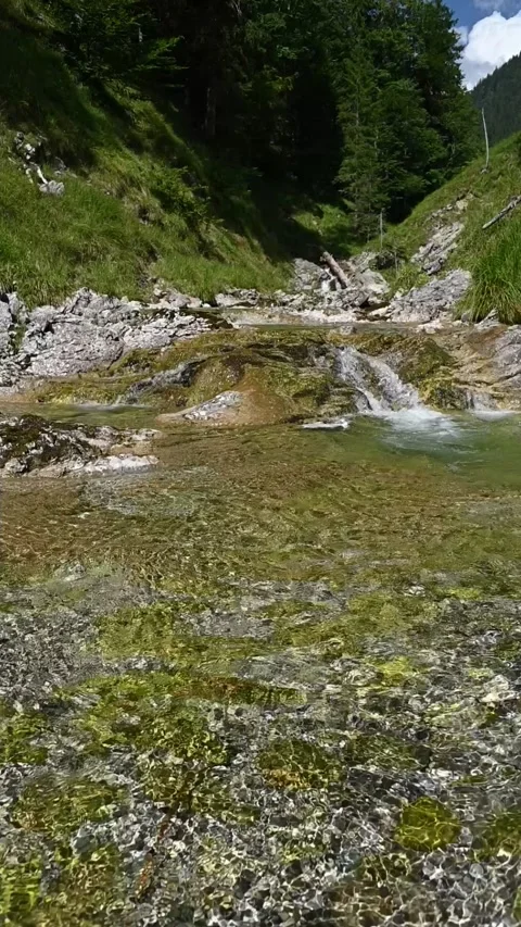 Vertical shot of a mountain stream with sunlight effects, slow motion Stock Footage 260881534