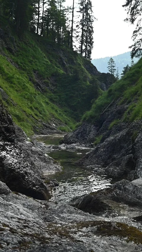 Vertical shot of a mountain stream in a v-shaped valley in summer after sunset Stock-Footage 260876695