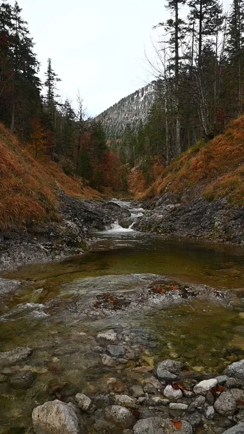 Vertical shot of a mountain stream in a v-shaped valley in autumn, slow motion Stock Footage 260896670