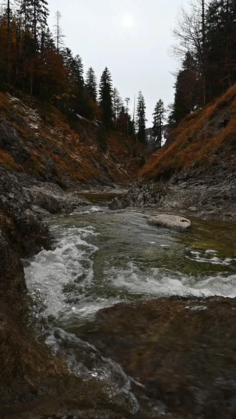 Vertical shot of a mountain stream in a v-shaped valley in autumn, slow motion 스톡 동영상 260896676