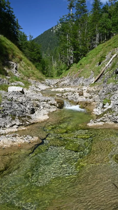 Vertical shot of a mountains stream in late summer sunlight Stock-Footage 260893139