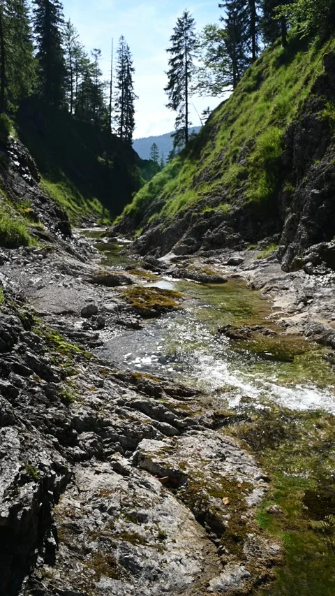 Vertical shot of a mountains stream in late summer sunlight Stock-Footage 260893183