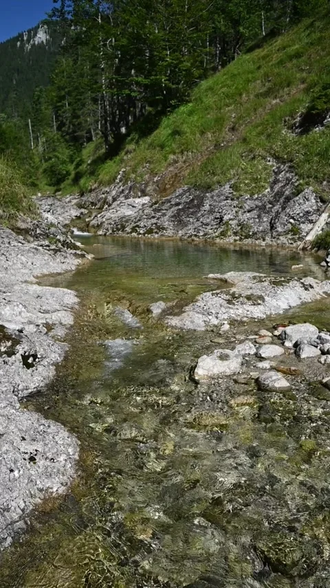 Vertical shot of a mountains stream in late summer sunlight, slow motion Video stock 260893370