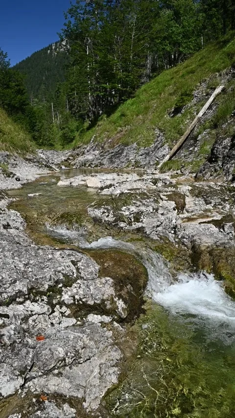 Vertical shot of a mountains stream in late summer sunlight, slow motion Video stock 260893412