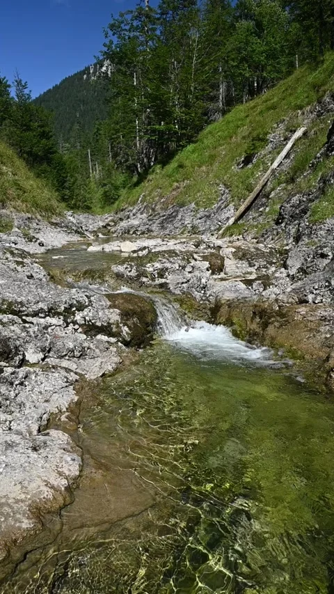 Vertical shot of a mountains stream in late summer sunlight, slow motion Stock-Footage 260893501