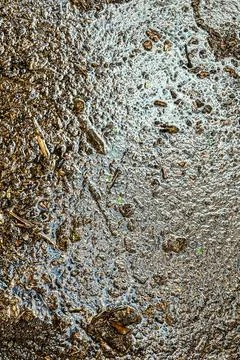 Vertical shot of murky floodwater creates textured background plate Stock-Fotos