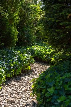 Vertical shot of a narrow path surrounded by ivies in a park Stock Photos