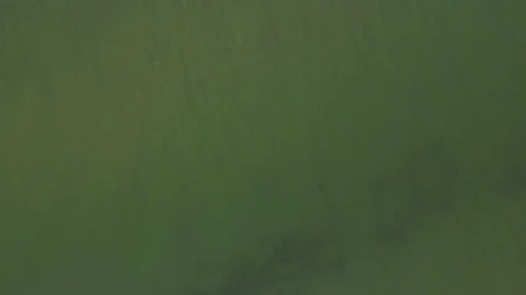 Vertical shot of ocean surface Stock Footage 84973580