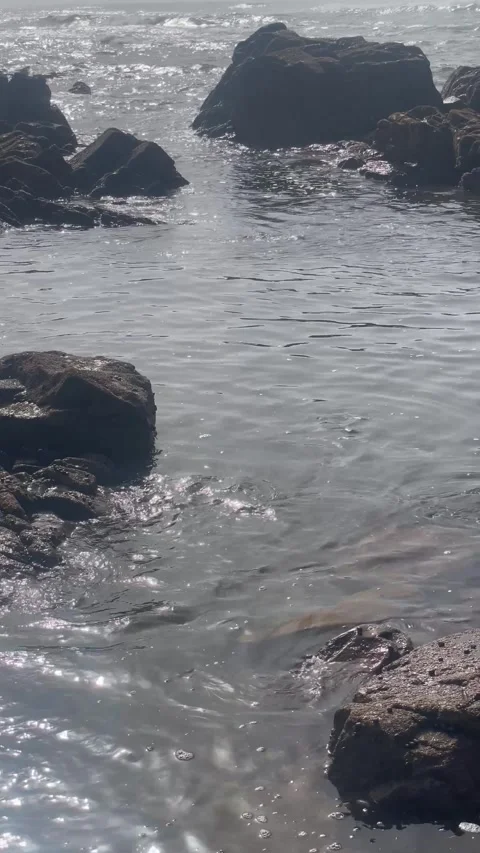 Vertical Shot of Ocean Water Flowing into Rocky Tide Pool Stock Footage 340775085