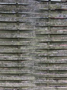 Vertical shot of an old board texture 스톡 사진