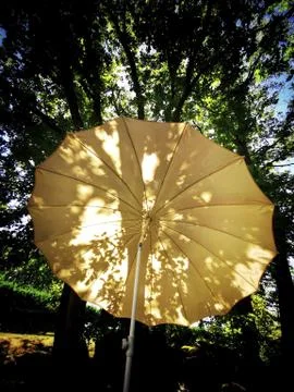 Vertical shot of an opened umbrella under the trees in the forest Stock Photos