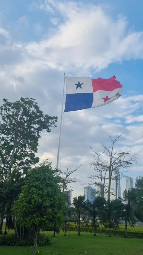 Vertical shot of the Panama flag swaying in heavy wind in a city park, Panama Vidéo 335026959