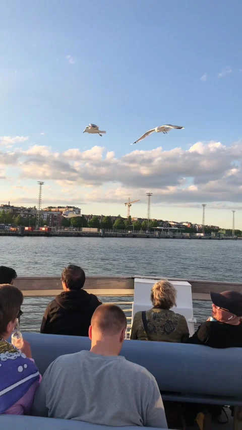 Vertical shot of a passenger feeding seagulls flying above the deck of a boat Stock Footage 346799346