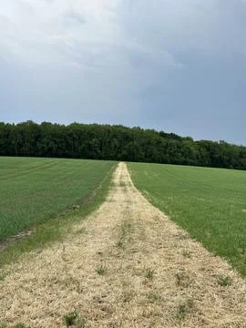 Vertical shot of a path in the field Stock Photos