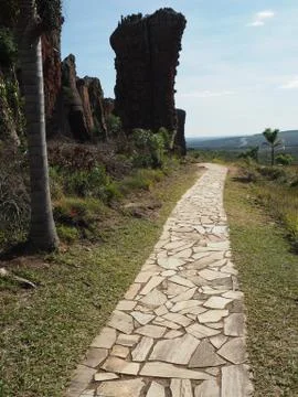 A vertical shot of a path made of broken tiles with plants on the side and a  Stock Photos