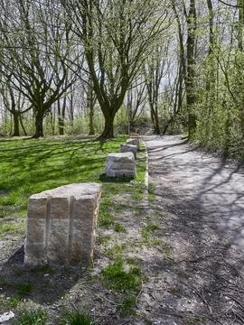 Vertical shot of a path in a park 스톡 사진