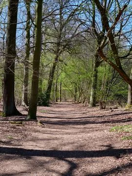 Vertical shot of a path in a park Stock-Fotos