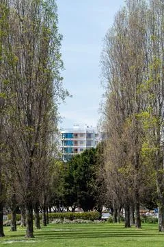 Vertical shot of a path through a park in Parque das Nacoes, Lisbon, Portugal Fotos Stock