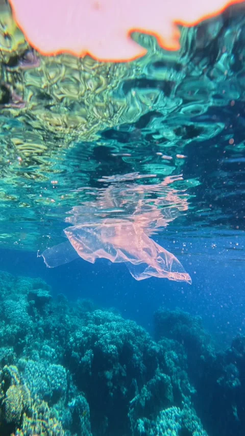Vertical shot of plastic bag floating underwater near the surface Stock Footage 337757218