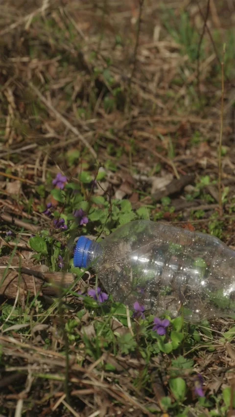 Vertical shot of plastic bottle falling near forest flowers Stock Footage 333118436