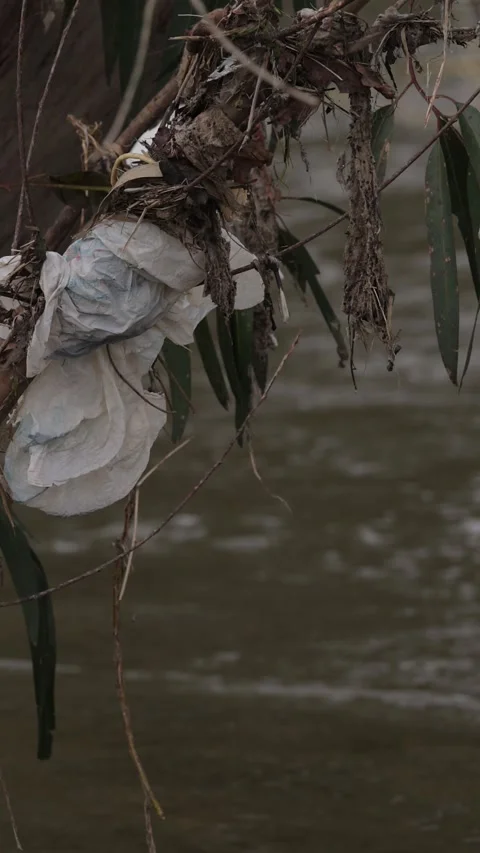 Vertical shot of plastic pollution on a river after floods. Stock Footage 334223635