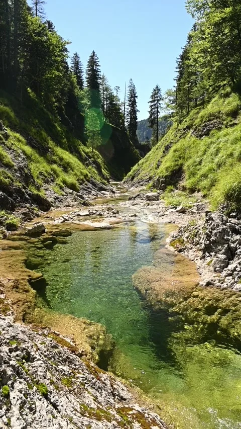Vertical shot of a pond from a mountain stream with green water, lens effects Stock Footage 260878739