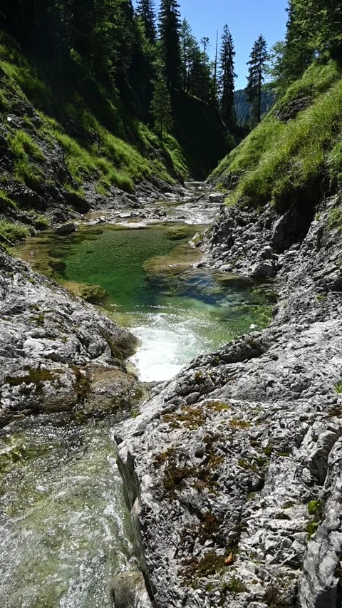 Vertical shot of a pond from a mountain stream with green water and rocks Stock-Footage 260878759