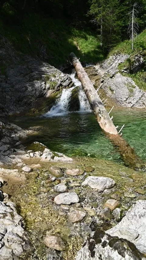 Vertical shot of a pond from a mountain stream with sunlight effects, slow-mo Video stock 260881564