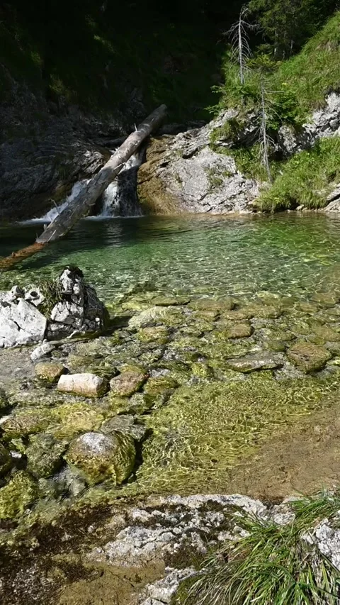 Vertical shot of a pond from a mountain stream with sunlight effects, slow-mo Video stock 260881631