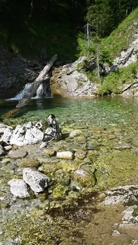 Vertical shot of a pond from a mountain stream with sunlight effects, slow-mo Video stock 260881663