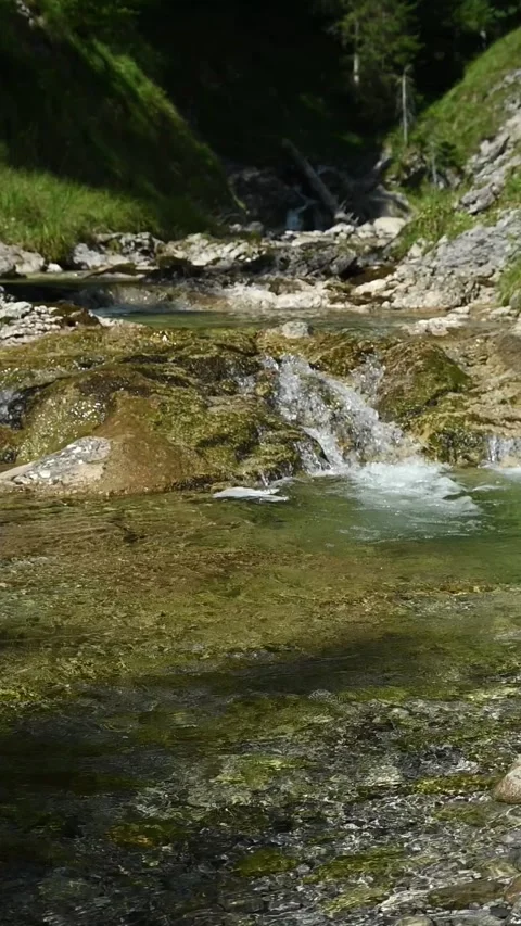 Vertical shot of a pond from a mountain stream with sunlight effects, slow-mo Video stock 260881752