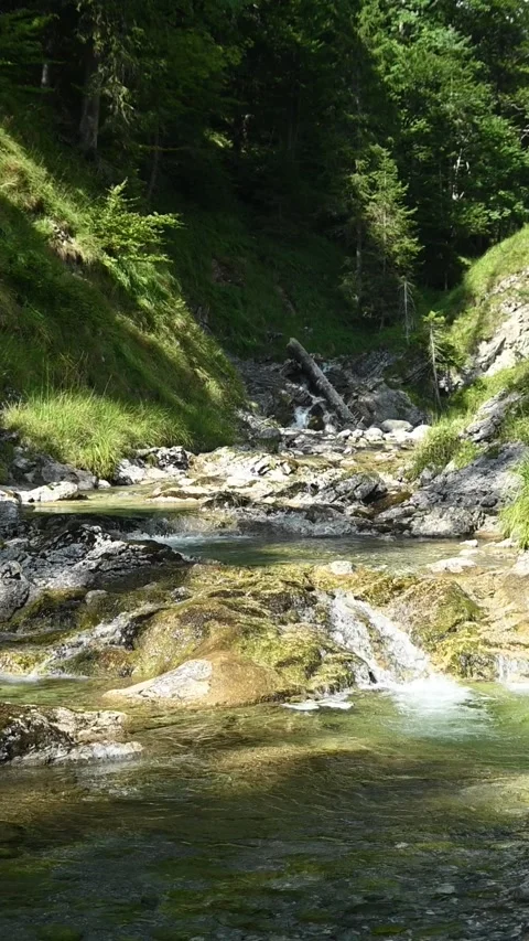 Vertical shot of a pond from a mountain stream in a forest, afternoon, slow-mo Stock-Footage 260881844