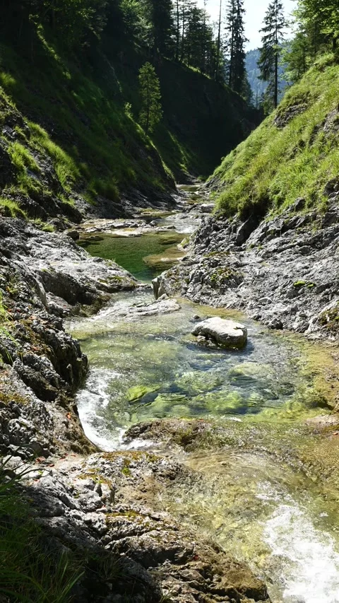 Vertical shot of a pond from a mountain stream in late summer Video stock 260892287