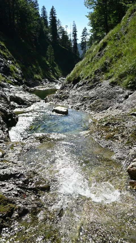 Vertical shot of a pond from a mountain stream in late summer, pol filter open Stock-Footage 260892407